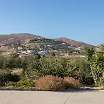 Peacock * Páros